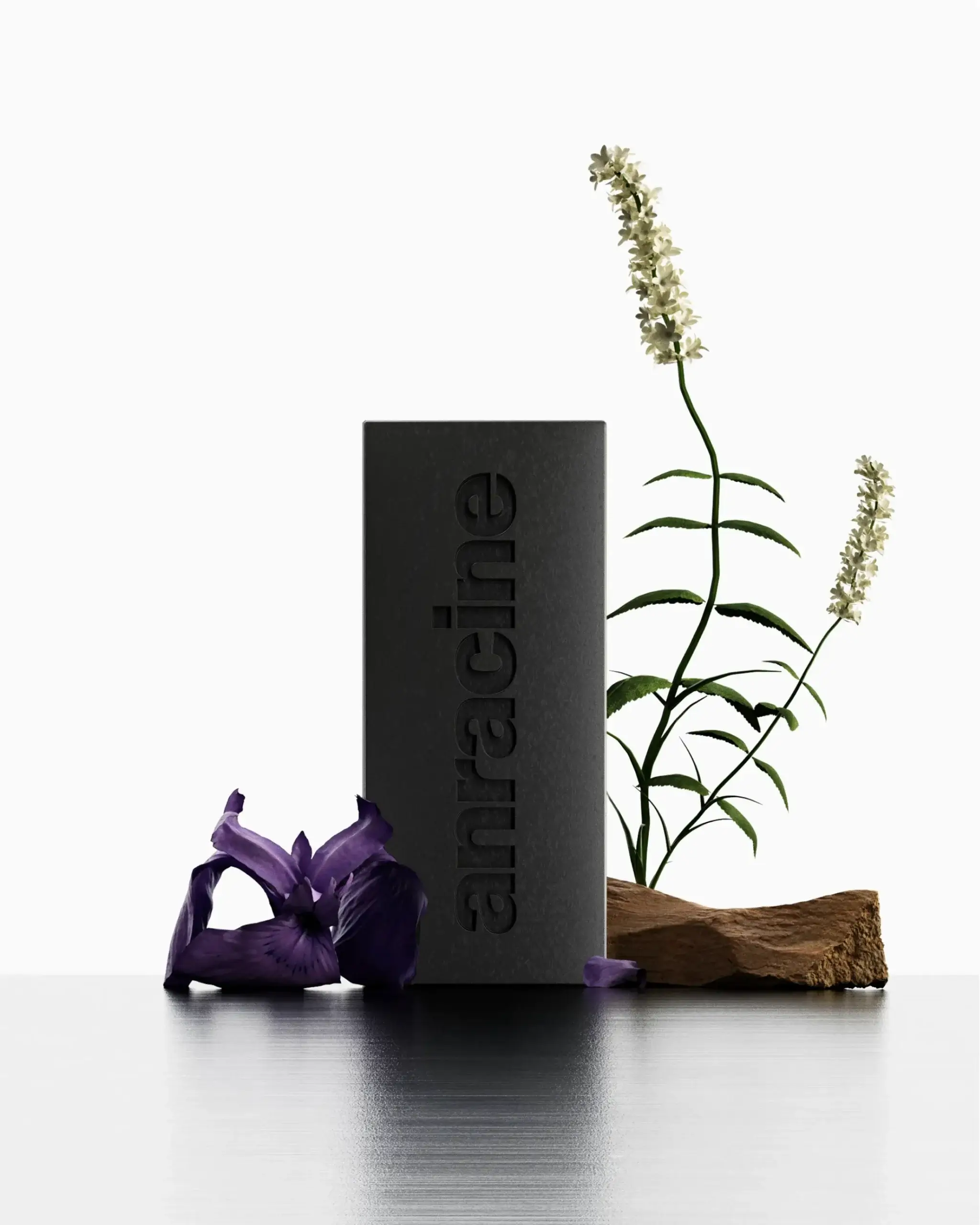 CaseStudy_AnracineCgi_Website01