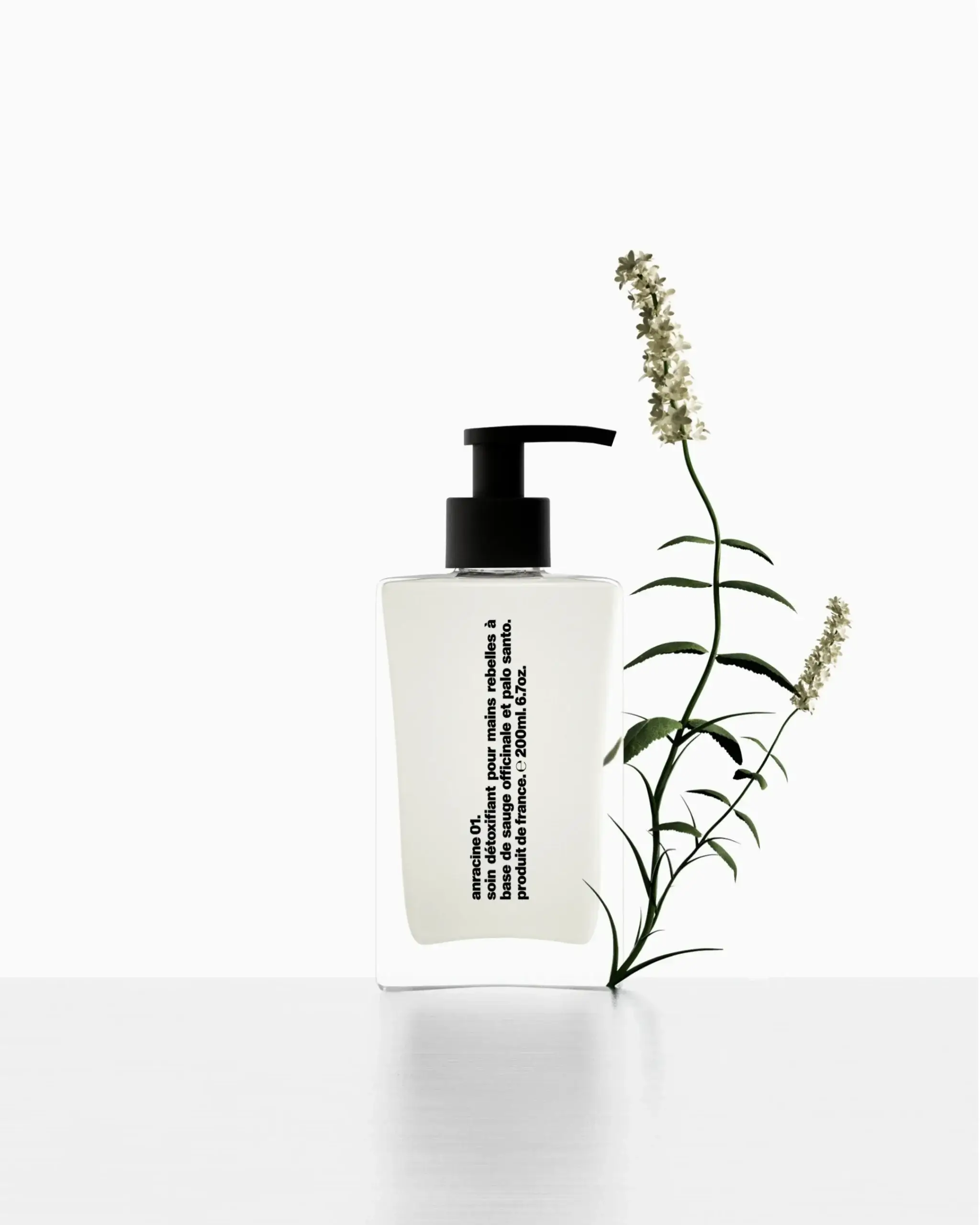 CaseStudy_AnracineCgi_Website04