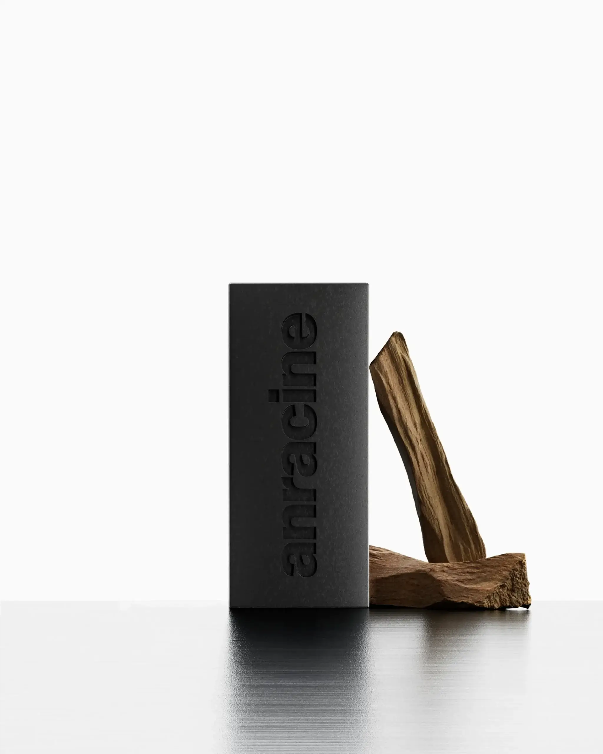 CaseStudy_AnracineCgi_Website06